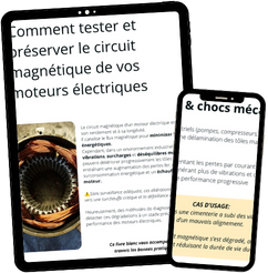 LIVRE BLANC GRATUIT (1)